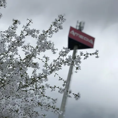 Amedia Express Sattledt, Trademark Collection By Wyndham Hotel 3*