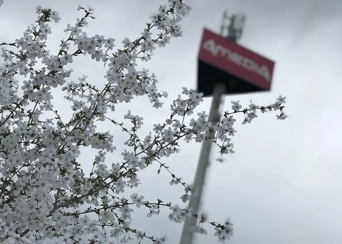 Amedia Express Sattledt, Trademark Collection By Wyndham Hotel 3*